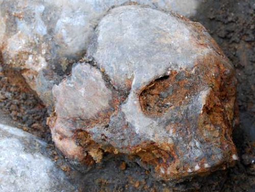sixpenceee:  Skulls Impaled on SticksIn southeast Sweden, archaeologists found a rather unique cemetery. It consists of skulls impaled on sticks, and it’s at the bottom of a lake. The shallow lake has long since dried up, which made the discovery possible