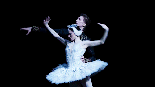 enchanted-keys:Marianela Nuñez and Vadim Muntagirov in Swan Lake (Royal Ballet 2018)