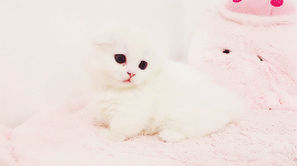 ihearteng:  △   