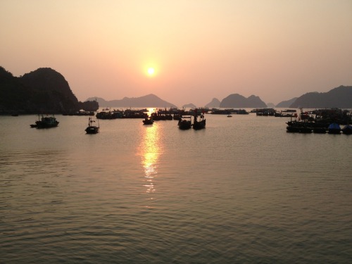 Excellent time spent on Cat Ba Island with my British buddy Adam.  We spent almost 5 hours sea kayak