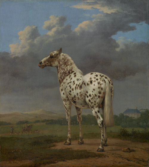 The Piebald Horse (aka The Spotted Stallion in a Hilly Landscape), Paulus Potter, ca. 1650-54
