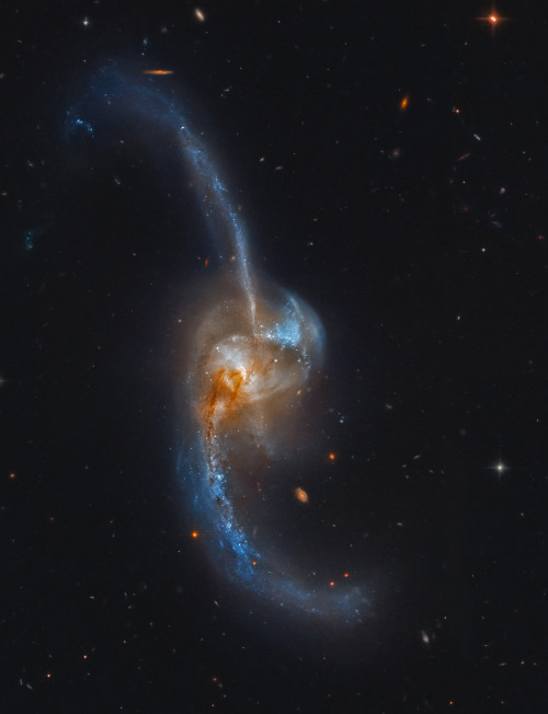 spaceplasma:  Merging NGC 2623    NGC 2623 is really two galaxies that are becoming one. Seen to be in the final stages of a titanic galaxy merger, the pair lies some 300 million light-years distant toward the constellation Cancer. The violent encounter