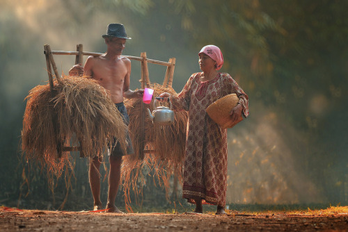 awkwardsituationist:  photos by herman damar in banten, indonesia