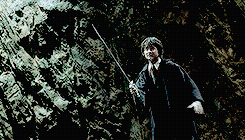 remusjohnslupin:  Harry then did something that was both very brave and very stupid. 
