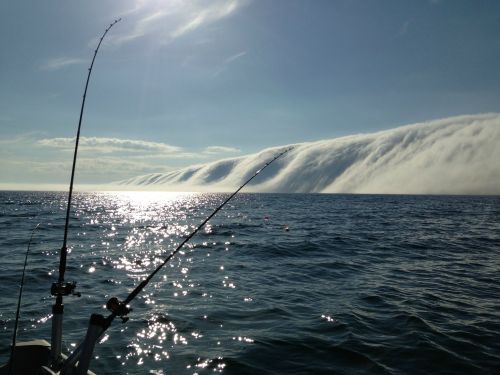 Fog Last week, a couple fishermen were out on Lake Michigan when they saw this eerie wall of fog app