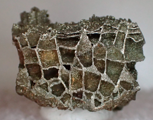 Marcasite Psm Coral - Hungry Hollow Occurrence, Arkona, Ontario, CanadaMarcasite replacing Devonian 
