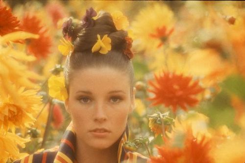 Lisa Palmer, New York model, stands among field of bright flowers with hair pulled back and topped w