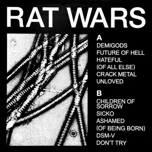 HEALTH | RAT WARS | Released On December 7, 2023, Through Loma Vista Recordings | Cover And Layout By
