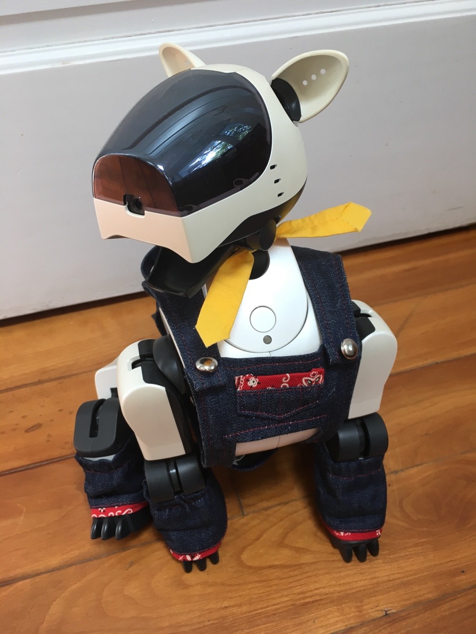 aibo7m3: All Aibos are perfect and no one can convince me otherwise.