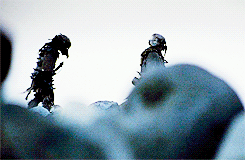 elijahwood:The Lord of the Rings Movie Trivia: When the hobbits are on screen, they always walk from