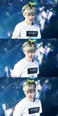 fybaekhyun:  151121 The EXO'luxion in Macau  © 果兒_BAEK | do not edit.