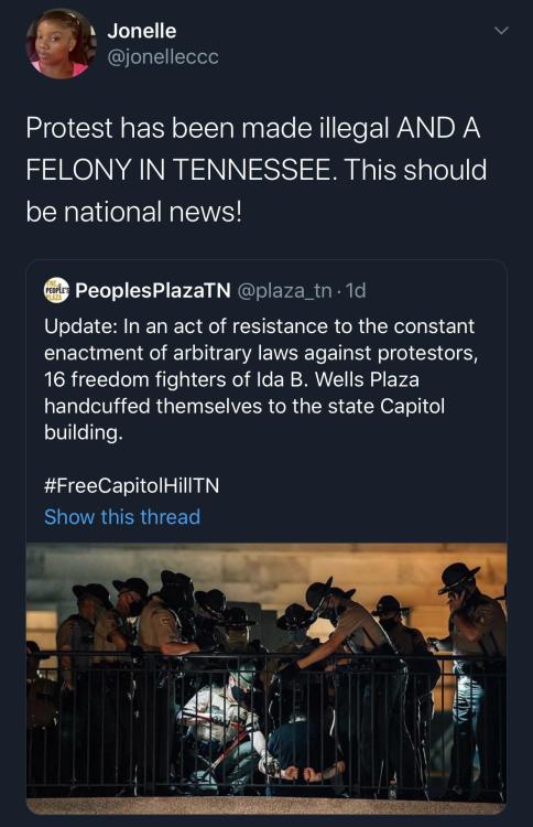 headspace-hotel: sonic-wildfire: twitblr: Protesting is a FELONY in Tennessee now…Facism at i