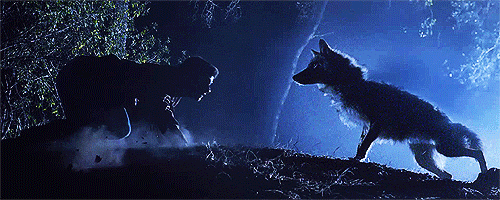 lovingskinny:  THIS EPISODE AIRED TODAY HOW DO PEOPLE DO THIS
