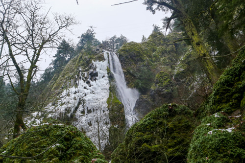 steepravine:Epic Waterfall And Snow Lined Creek(Hood River, Oregon - 12/2016)