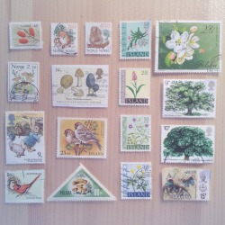 Lacemoths:  Cute Nature Stamps I Found When I Was Looking Through My Old Stamp Collection!