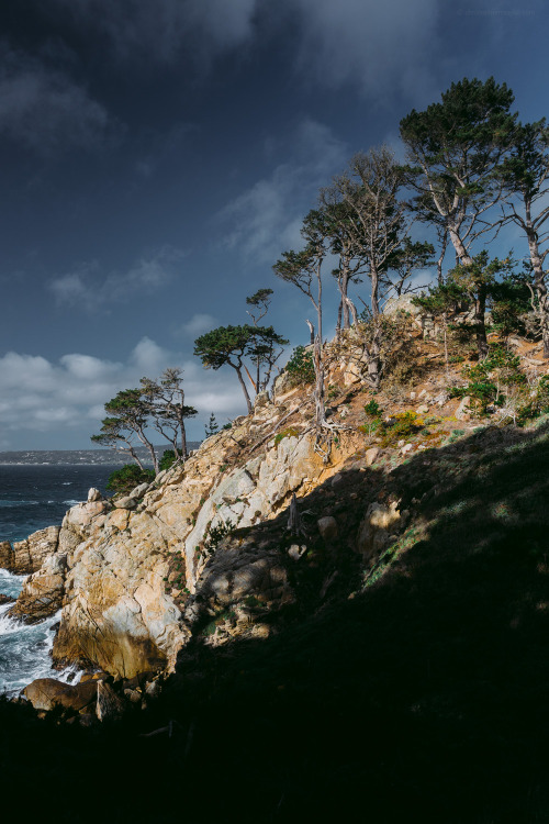 Point Lobos, California