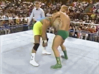 serialkyllan: mengs-mullet:mengs-mullet: I’ve never seen anybody else counter a suplex with the Perf