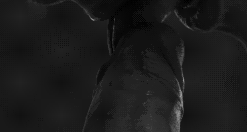 https://sgayq.tumblr.com/post/103050768772