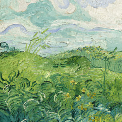 Green Wheat Field (detail) by Vincent van