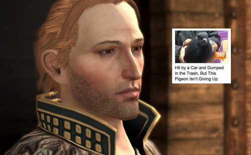 bubonickitten:Dragon Age II + text posts: AndersMore DA text post memes:Marian Hawke: 1, 2, 3, 4, 5,