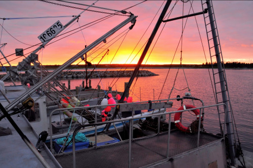 neaq:  What’s the phrase? Red sky at night, sailors delight? The right whale researchers head into p