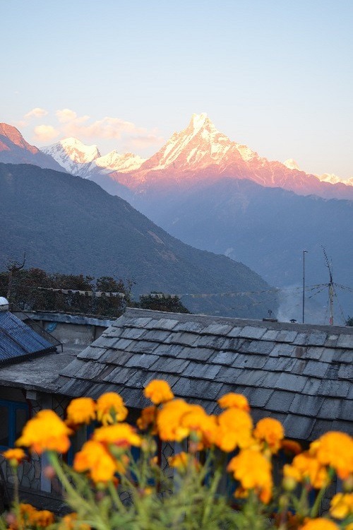 wolverxne:  My brother took this photograph of Machapuchare, also known as “Fish Tail Mountain” in the Annapurna Himal of north central Nepal. No one has ever reached the summit of the mountain and it is revered by the local population as it