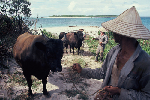 Daily life on Aragusuku island in Okinawa under the U.S. occupation, Japan, 1969 As of October 2016,