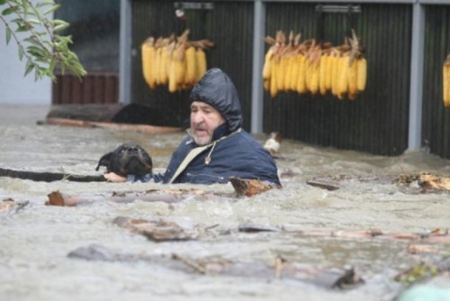 societates:stilettosandbrokenbottlesss:Dear World, Serbia has been hit by catastrophic floods. There