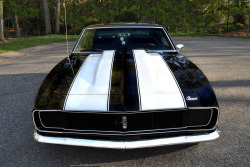 musclecarsfans:  Follow For Muscle Cars Everyday