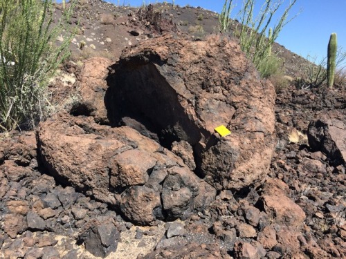 itssedimentary: Pinacate Volcanic Field  Located in far northwest Sonora, Mexico, the Pinacate 