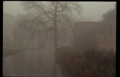 taranegerton:misty mornings in maastrichtcanon ae-1 // kodak vision3instagram &amp; flickr