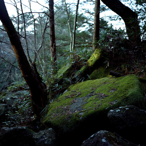 Ena - Mt.Hoko by sf1003！ on Flickr.