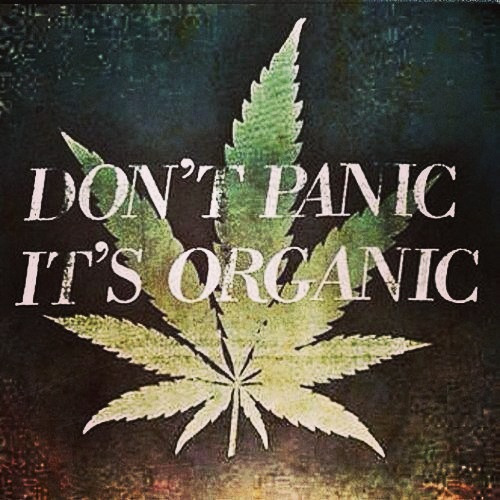 ginger-haze:  ✿ more hippie/nature/spiritual post here ❀