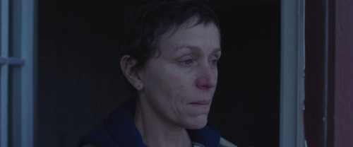 Frances McDormand as Fern / Nomadland (2020)Academy Award Winner as Best Actress