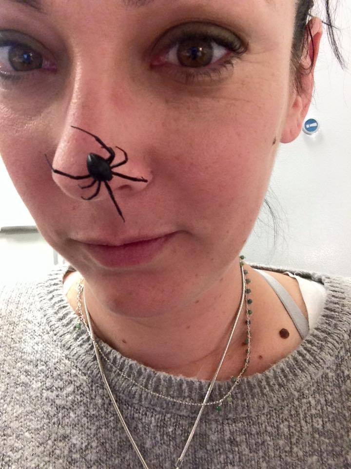 buggirl:  This is what happens when a spider-biologist procrastinates in the lab. Black