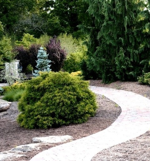 Traditional Landscape - PondIdeas For A Sizable, Traditionally Landscaped, Summer Backyard With Partial