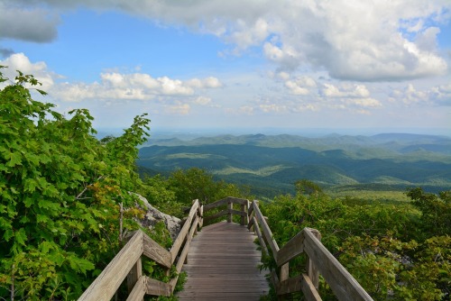 Rough Ridge Overlook Trail on the Blue Ridge ParkwayI was honestly overwhelmed by how beautiful this