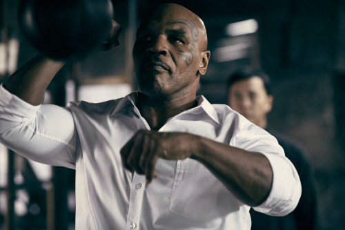 theblindninja:    Donnie Yen and Mike Tyson in Ip Man 3 （葉問3）  Martial Arts In Cinema  