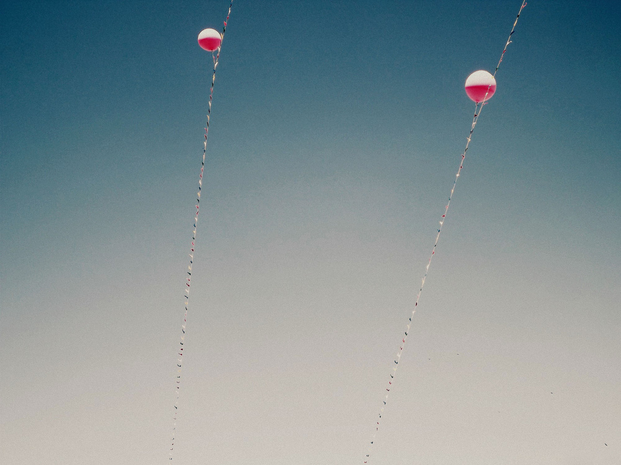 crescendence:   	“balloons and birds” by Jaimie  Wylie    	Via Flickr: 	balloons