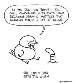 lolfactory:  the early bird gets the worm