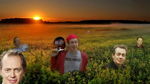 stevebuscemiastralprojection: welcome to Buscemi meadows, where the finest Steve Buscemis are grown