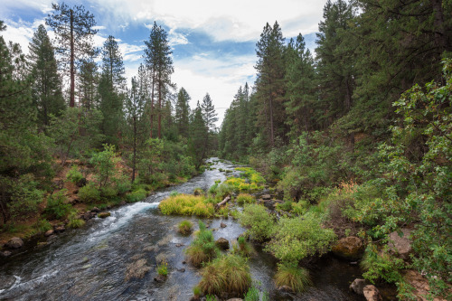 McArthur-Burney Falls: Near Lassen Volcanic National ParkWe didn’t do a lot of research before we we