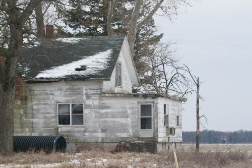 highways-are-liminal-spaces:Cranes overwintering in Jasper County, Indiana