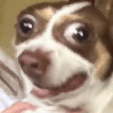 Yeet Yeet Gif Explore Tumblr Posts And Blogs Tumgir