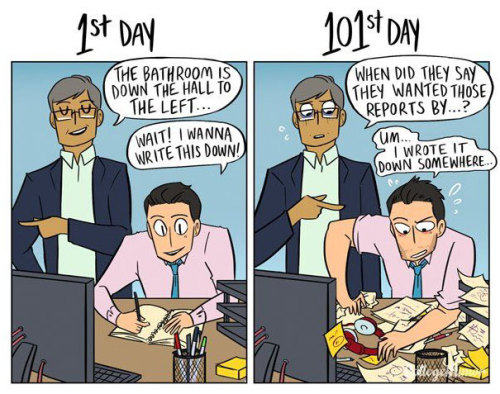 pr1nceshawn:  How Your Job Changes Over Time.