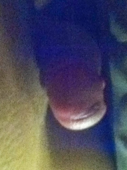 darthjoey:  just the tip compilation of me. Oh look, there’s a cum in one of the pics.