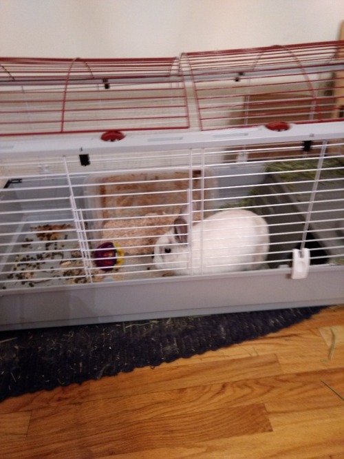 He Looks At Me Like This. Like I Did Something Wrong.