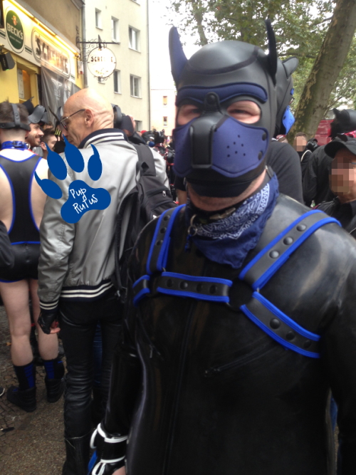 Rufus And Friends Visiting IN DOG WE TRUST-Party @ Scheune Berlin