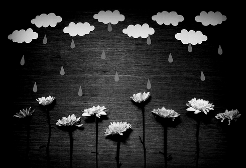 whitenes-s:The Awakening Rain… by Shaima Al-Shaibani