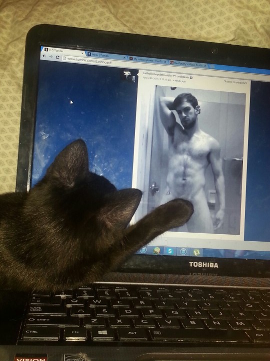 Tumblr media